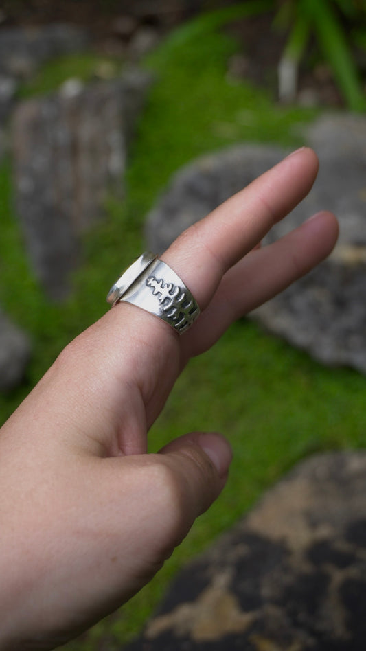 Scots Pine Ring