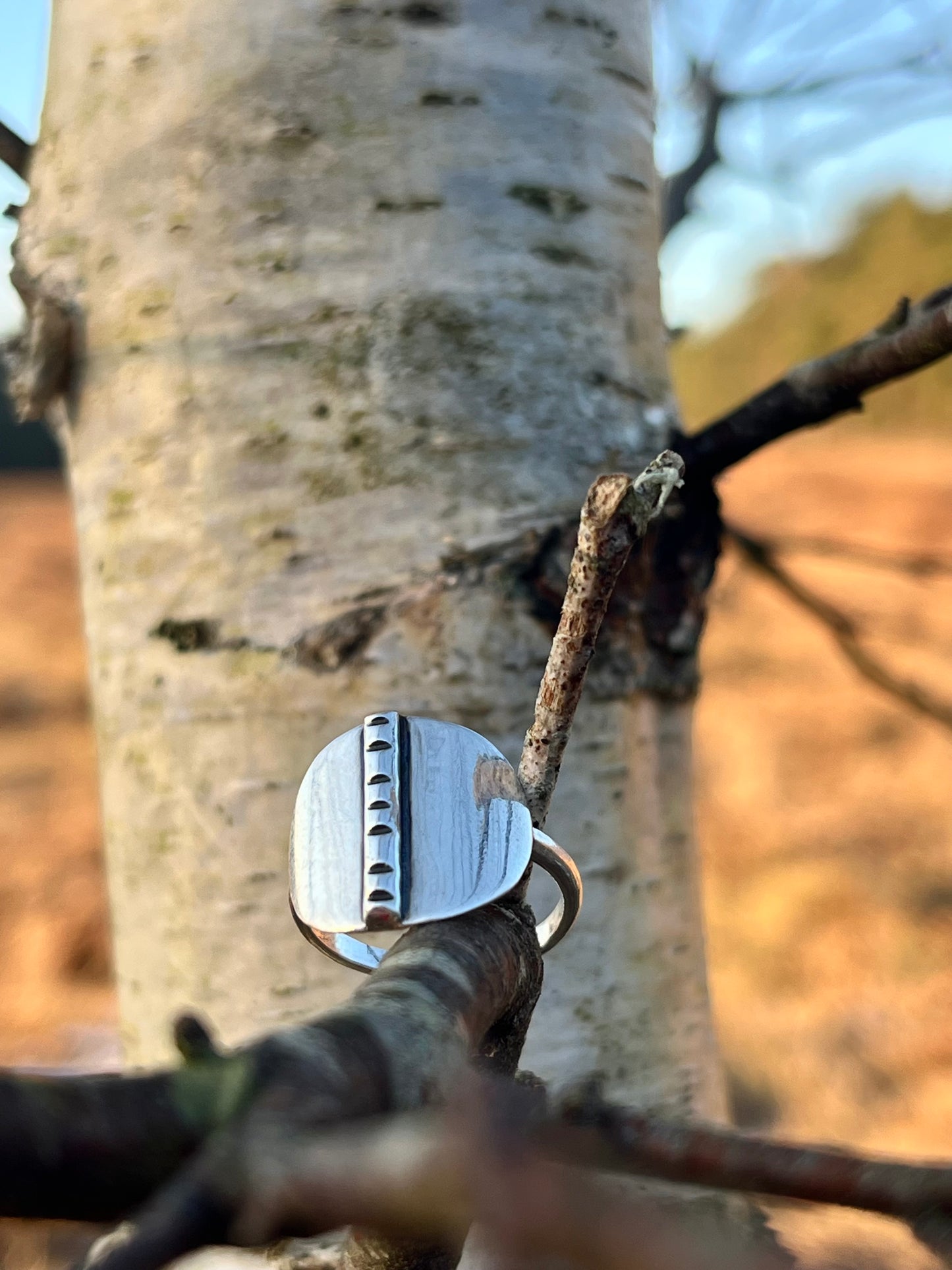 Birch Shield Ring