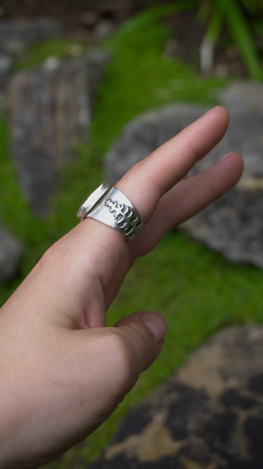 Scots Pine Ring
