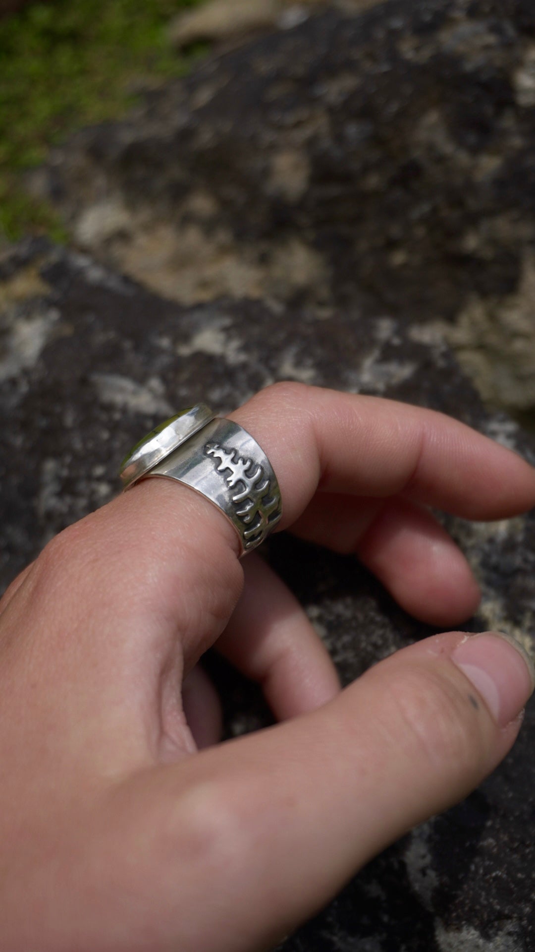 Scots Pine Ring