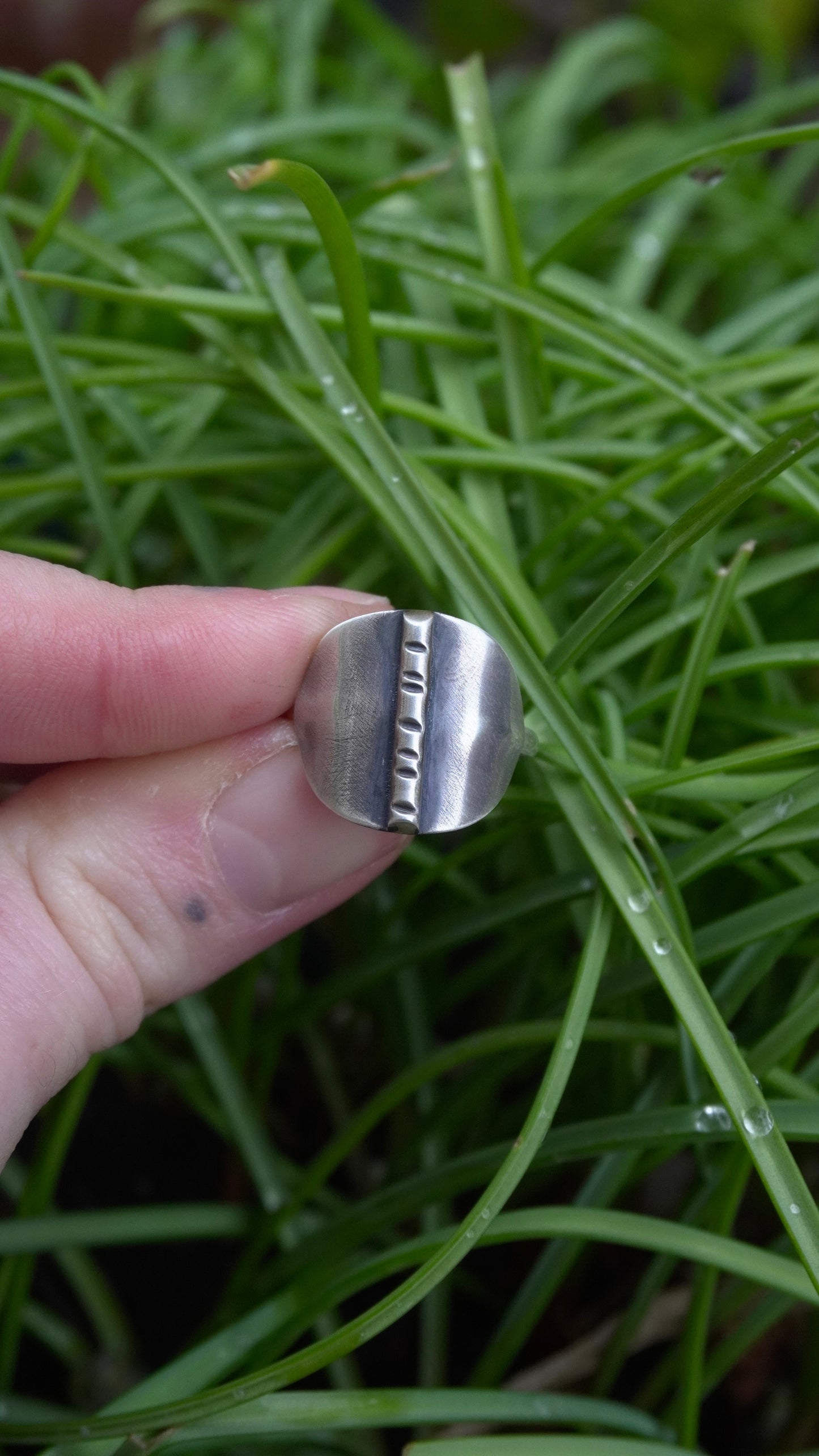 Birch Shield Ring