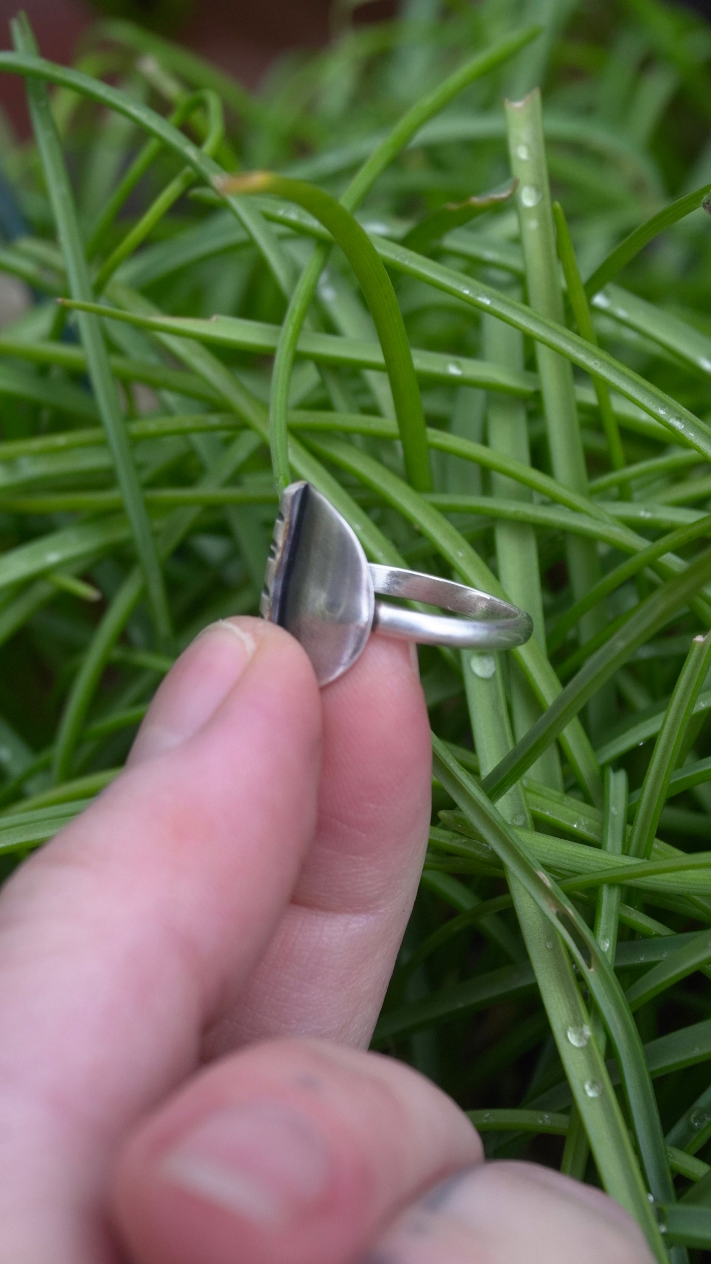 Birch Shield Ring