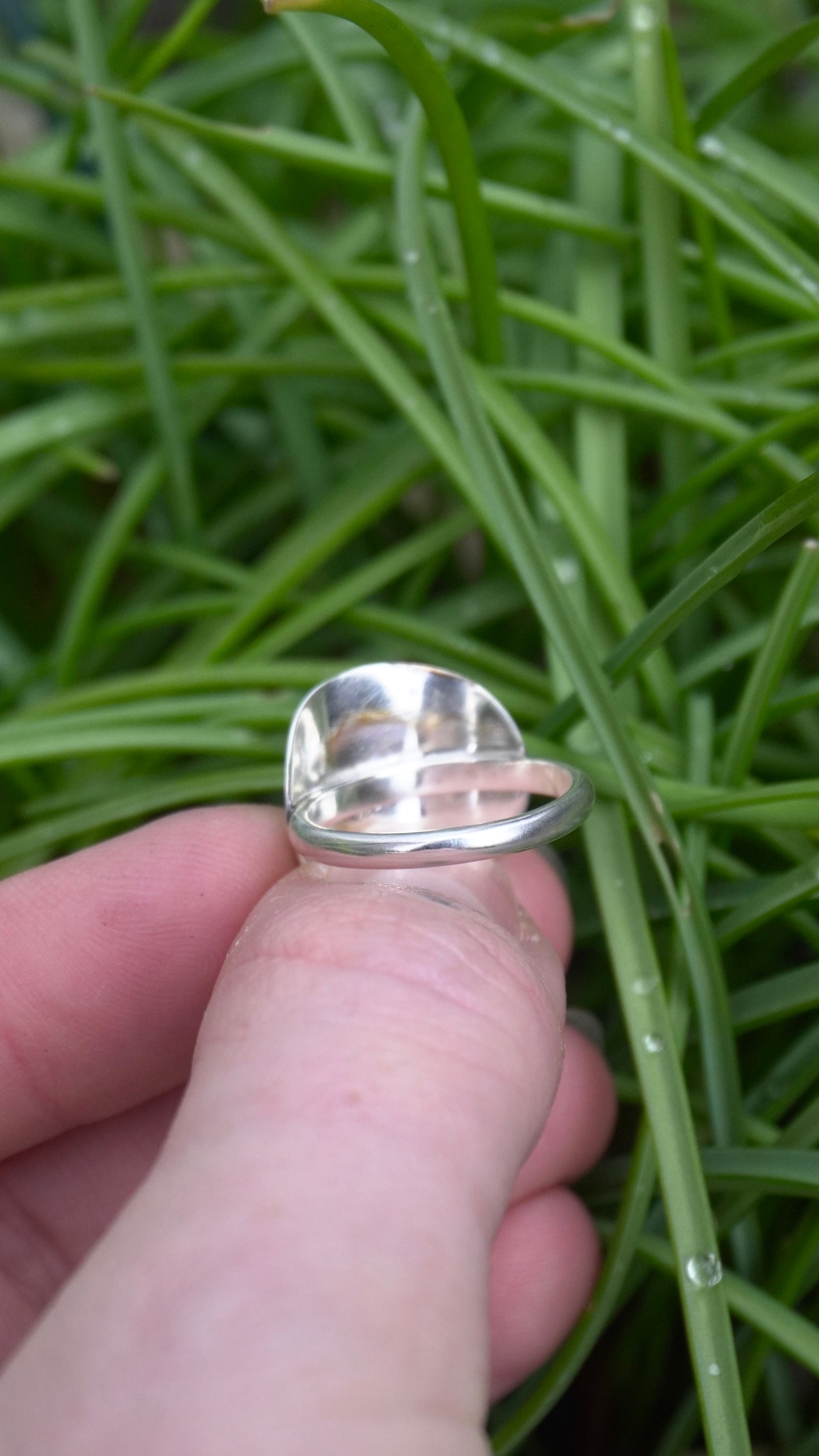 Birch Shield Ring